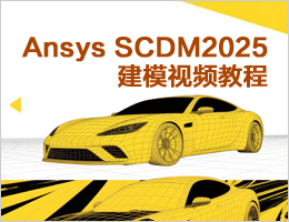 Ansys SCDM2025ģҕl̳